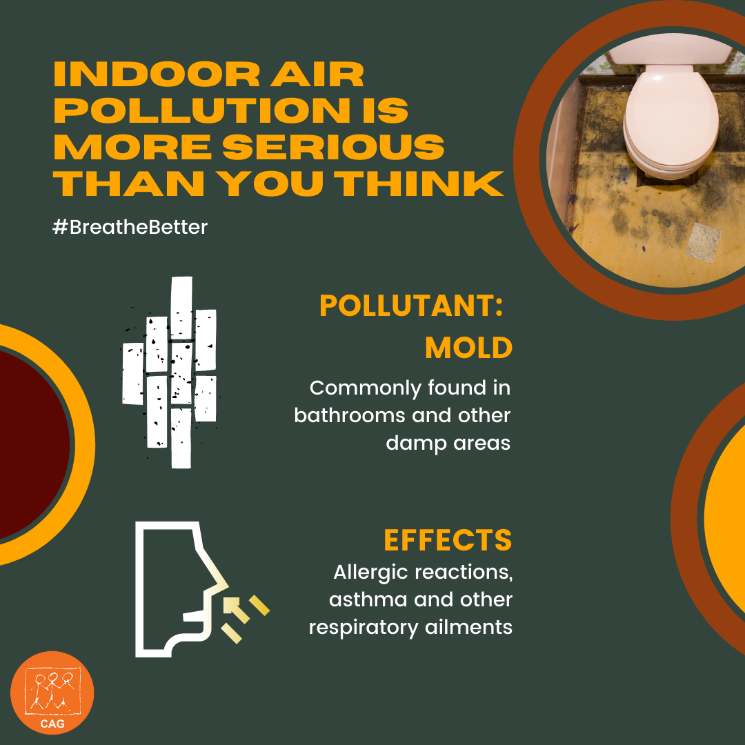 Indoor Air Pollution Mold Growth CAG